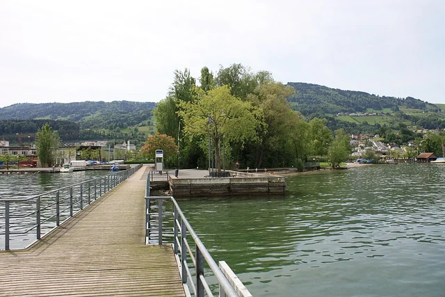 Veduta panoramica su Pfäffikon SZ e sul Lago di Zurigo – rappresentazione sfocata